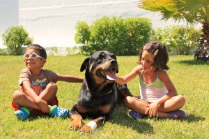 Irmãos - Crianças e Cachorro