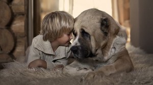 Amizade bebê e cachorro