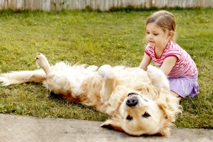 Fotos de Cachorros e Crianças