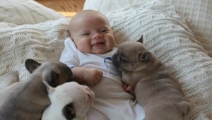 Sorriso do bebê com os cachorros