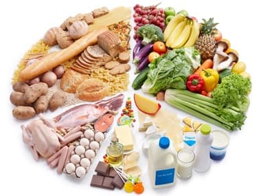 Gráfico de separação da dieta. Gráfico de separação da dieta.